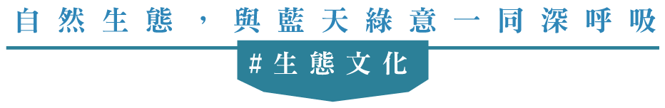 3139-2TF-3-20190510-155347-8573.png